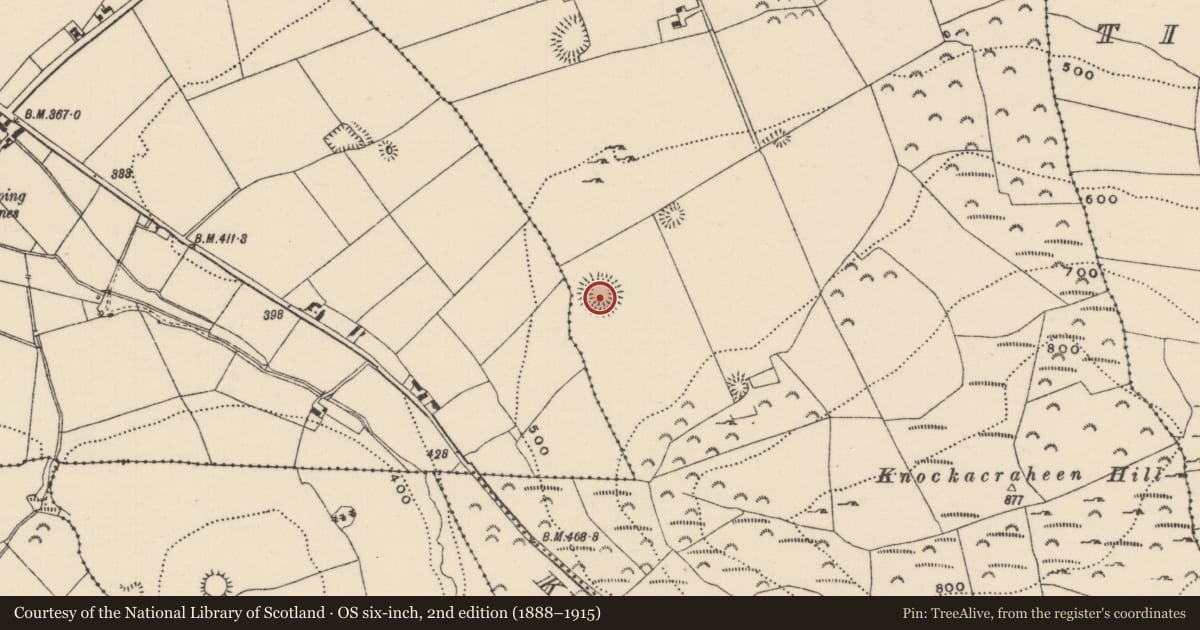 Ordnance Survey six-inch map, 2nd edition (1888–1915) covering the location of Ringfort - rath, Ballyconnor, County Tipperary North, with a pin at the register's coordinates
