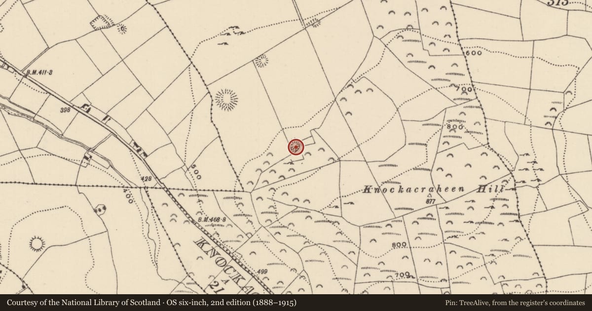 Ordnance Survey six-inch map, 2nd edition (1888–1915) covering the location of Enclosure, Ballyconnor, County Tipperary North, with a pin at the register's coordinates