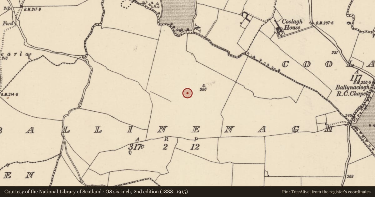 Ordnance Survey six-inch map, 2nd edition (1888–1915) covering the location of Earthwork, Ballinenagh, County Tipperary North, with a pin at the register's coordinates