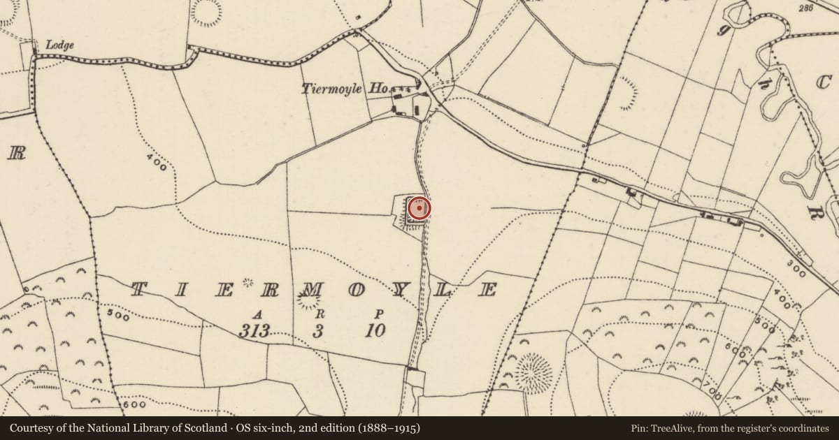 Ordnance Survey six-inch map, 2nd edition (1888–1915) covering the location of Moated site, Tiermoyle, County Tipperary North, with a pin at the register's coordinates