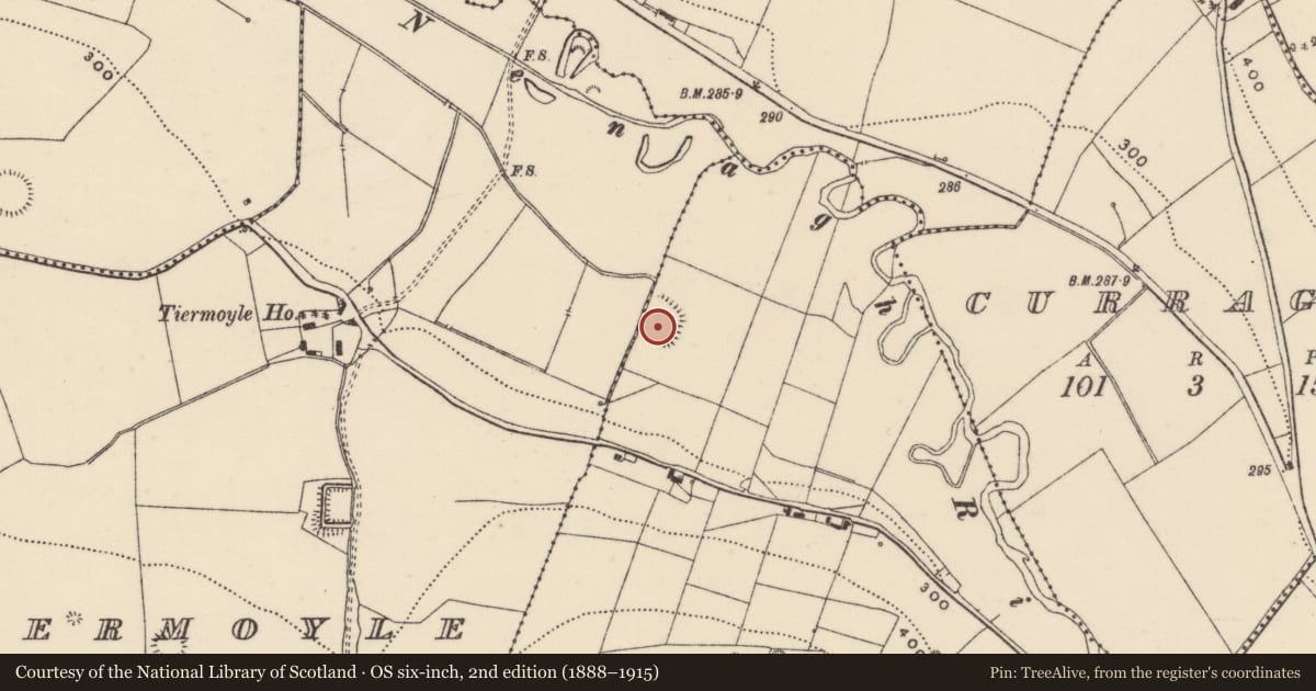 Ordnance Survey six-inch map, 2nd edition (1888–1915) covering the location of Enclosure, Lackenavorna, Tiermoyle, County Tipperary North, with a pin at the register's coordinates