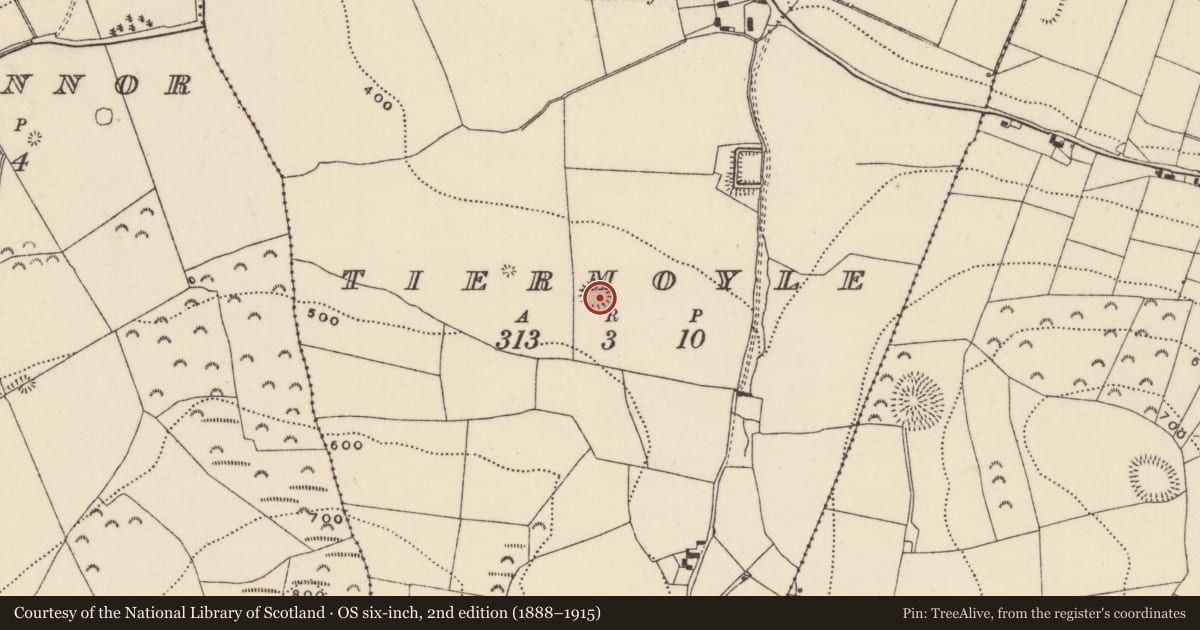 Ordnance Survey six-inch map, 2nd edition (1888–1915) covering the location of Enclosure, Tiermoyle, County Tipperary North, with a pin at the register's coordinates