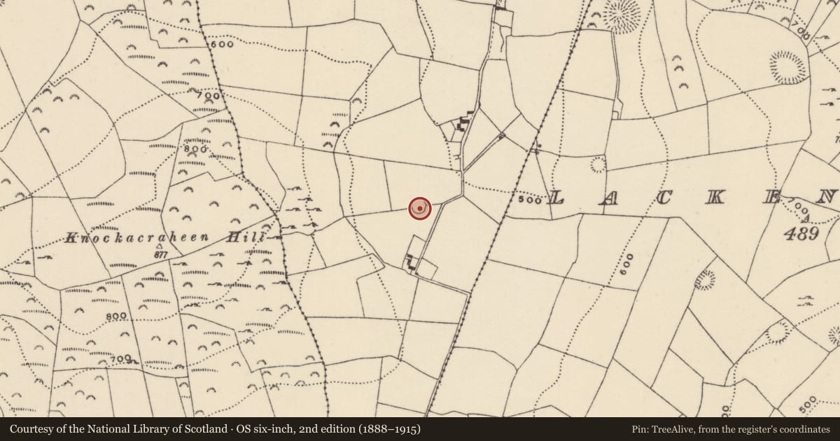 Ordnance Survey six-inch map, 2nd edition (1888–1915) covering the location of Enclosure, Tiermoyle, County Tipperary North, with a pin at the register's coordinates