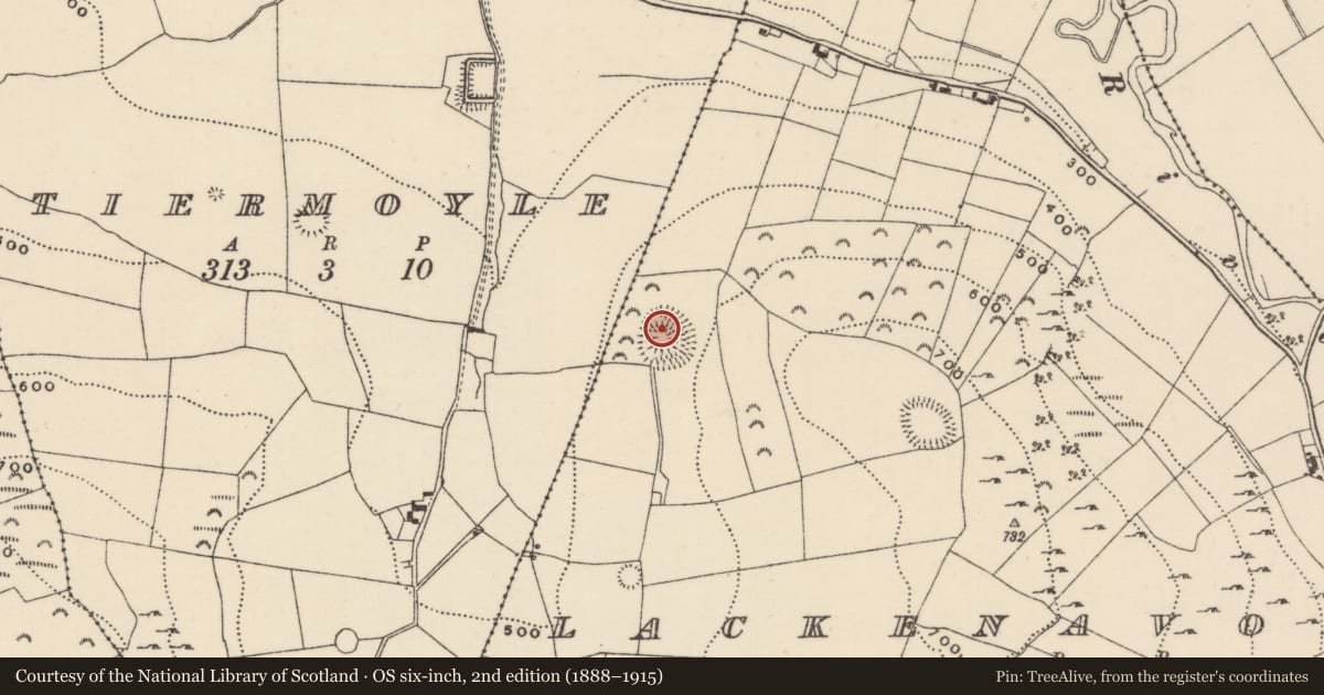 Ordnance Survey six-inch map, 2nd edition (1888–1915) covering the location of Ringfort - rath, Lackenavorna, County Tipperary North, with a pin at the register's coordinates