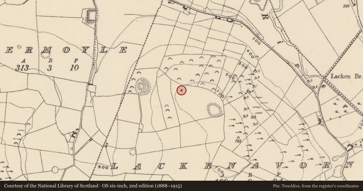 Ordnance Survey six-inch map, 2nd edition (1888–1915) covering the location of Earthwork, Lackenavorna, County Tipperary North, with a pin at the register's coordinates