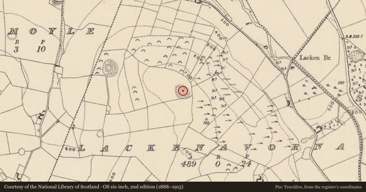 Ordnance Survey six-inch map, 2nd edition (1888–1915) covering the location of Ringfort - rath, Lackenavorna, County Tipperary North, with a pin at the register's coordinates