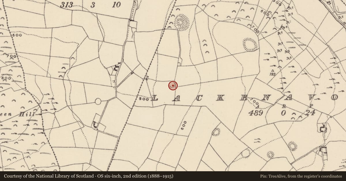 Ordnance Survey six-inch map, 2nd edition (1888–1915) covering the location of Enclosure, Lackenavorna, County Tipperary North, with a pin at the register's coordinates