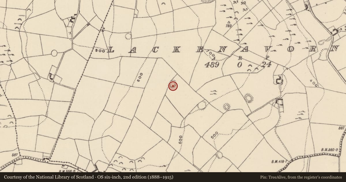 Ordnance Survey six-inch map, 2nd edition (1888–1915) covering the location of Ringfort - rath, Lackenavorna, County Tipperary North, with a pin at the register's coordinates
