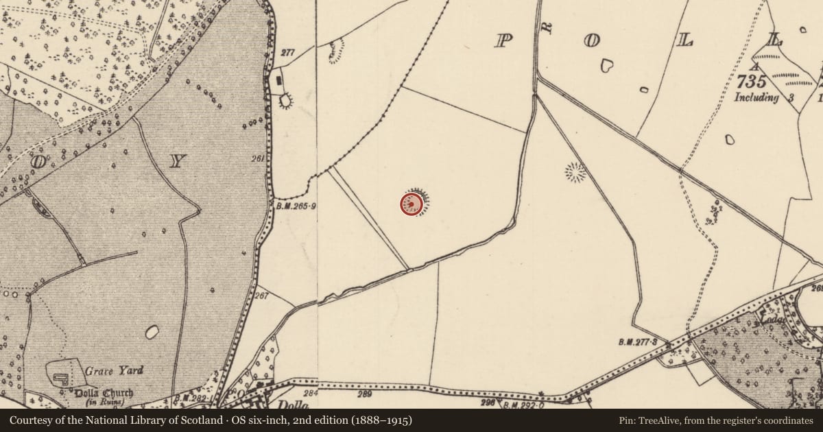 Ordnance Survey six-inch map, 2nd edition (1888–1915) covering the location of Ringfort - rath, Pollanorman (Dolla Par.), County Tipperary North, with a pin at the register's coordinates
