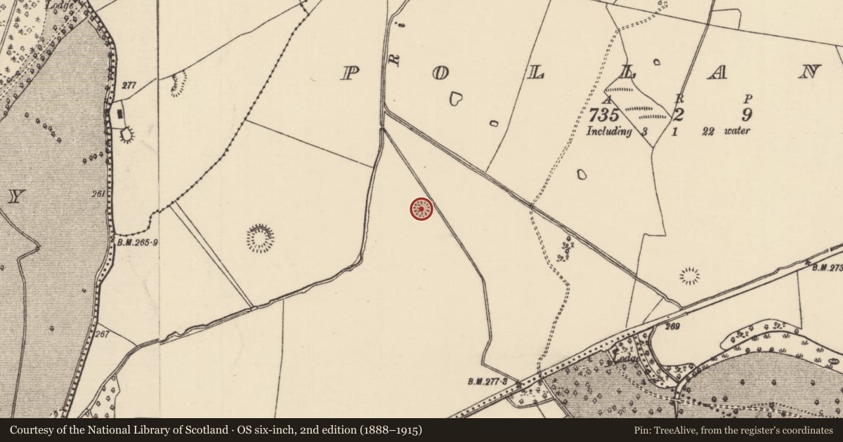 Ordnance Survey six-inch map, 2nd edition (1888–1915) covering the location of Ringfort - rath, Pollanorman (Dolla Par.), County Tipperary North, with a pin at the register's coordinates