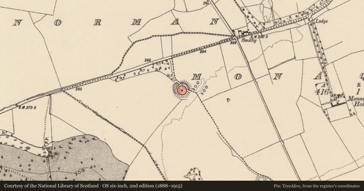 Ordnance Survey six-inch map, 2nd edition (1888–1915) covering the location of Ringfort - rath, Ballylisheen (Ballynaclogh Par.), Monaquill, County Tipperary North, with a pin at the register's coordinates