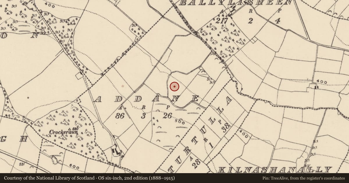 Ordnance Survey six-inch map, 2nd edition (1888–1915) covering the location of Enclosure, Addane, County Tipperary North, with a pin at the register's coordinates