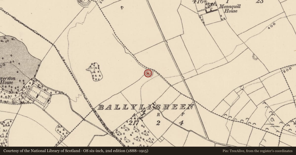Ordnance Survey six-inch map, 2nd edition (1888–1915) covering the location of Ringfort - rath, Ballylisheen (Ballynaclogh Par.), Monaquill, County Tipperary North, with a pin at the register's coordinates