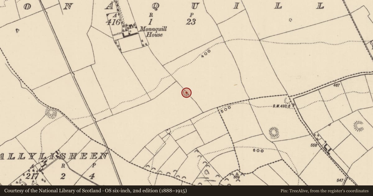 Ordnance Survey six-inch map, 2nd edition (1888–1915) covering the location of Ringfort - rath, Monaquill, County Tipperary North, with a pin at the register's coordinates