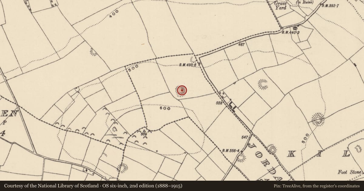 Ordnance Survey six-inch map, 2nd edition (1888–1915) covering the location of Moated site, Jordansquarter, County Tipperary North, with a pin at the register's coordinates