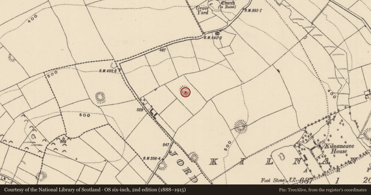 Ordnance Survey six-inch map, 2nd edition (1888–1915) covering the location of Ringfort - rath, Kilnaneave, County Tipperary North, with a pin at the register's coordinates