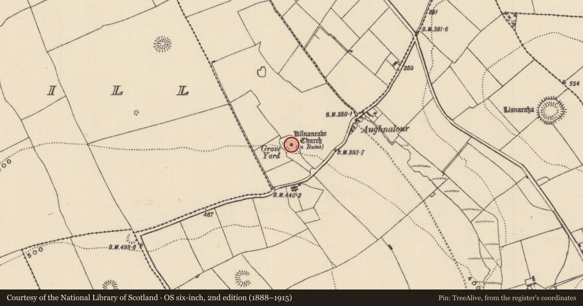 Ordnance Survey six-inch map, 2nd edition (1888–1915) covering the location of Graveyard, Kilnaneave, County Tipperary North, with a pin at the register's coordinates