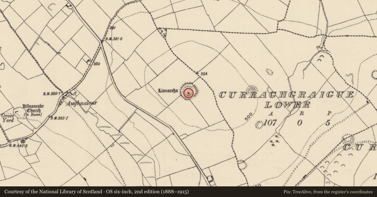 Ordnance Survey six-inch map, 2nd edition (1888–1915) covering the location of Castle - ringwork, Kilnaneave, County Tipperary North, with a pin at the register's coordinates
