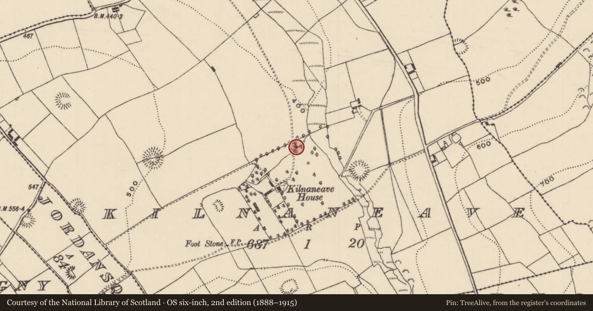 Ordnance Survey six-inch map, 2nd edition (1888–1915) covering the location of Enclosure, Kilnaneave, County Tipperary North, with a pin at the register's coordinates