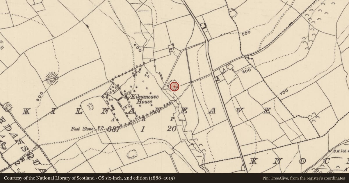 Ordnance Survey six-inch map, 2nd edition (1888–1915) covering the location of Ringfort - rath, Kilnaneave, County Tipperary North, with a pin at the register's coordinates