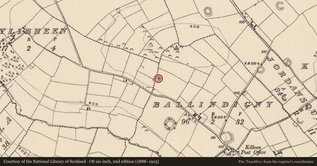 Ordnance Survey six-inch map, 2nd edition (1888–1915) covering the location of Ringfort - rath, Ballindigny, Ballylisheen (Ballynaclogh Par.), County Tipperary North, with a pin at the register's coordinates