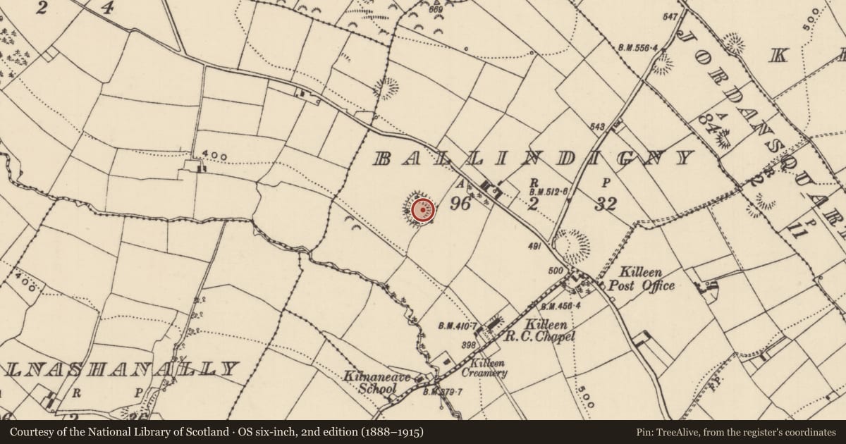 Ordnance Survey six-inch map, 2nd edition (1888–1915) covering the location of Ringfort - rath, Ballindigny, County Tipperary North, with a pin at the register's coordinates