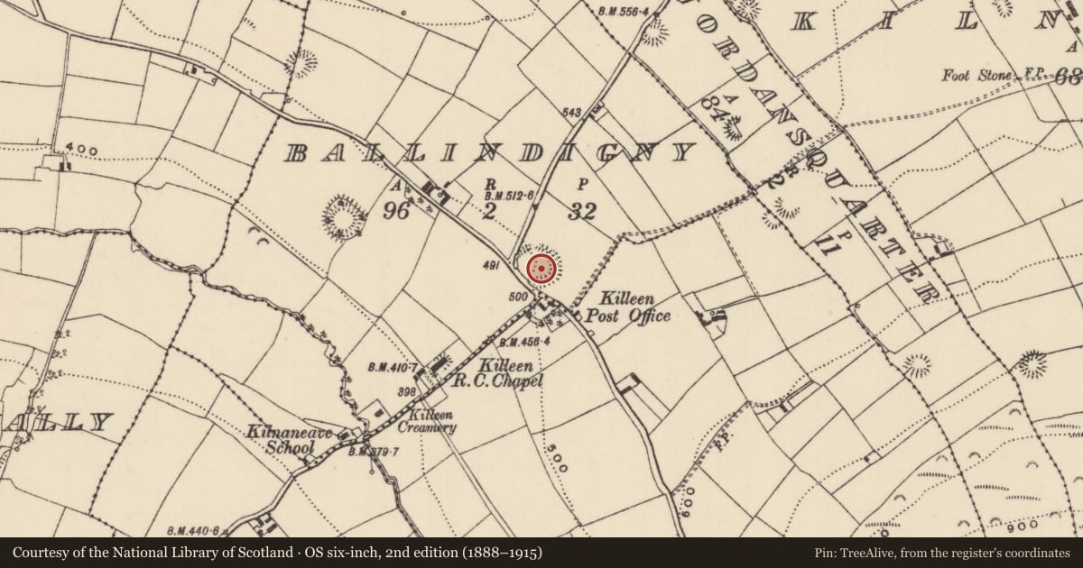 Ordnance Survey six-inch map, 2nd edition (1888–1915) covering the location of Ringfort - rath, Ballindigny, County Tipperary North, with a pin at the register's coordinates