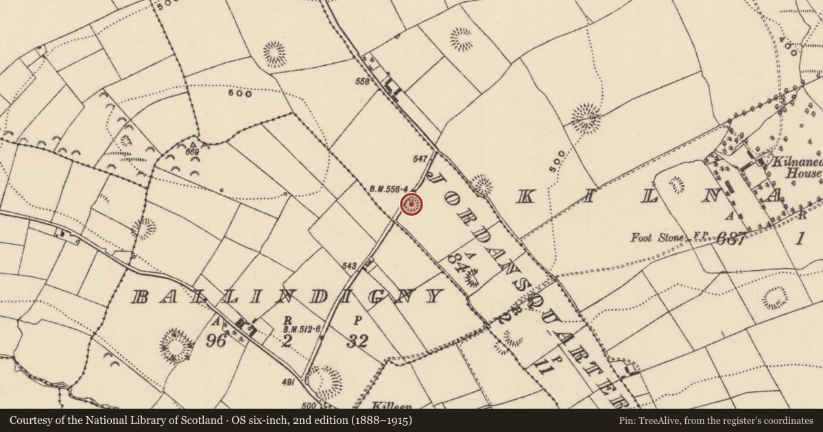 Ordnance Survey six-inch map, 2nd edition (1888–1915) covering the location of Ringfort - rath, Jordansquarter, County Tipperary North, with a pin at the register's coordinates