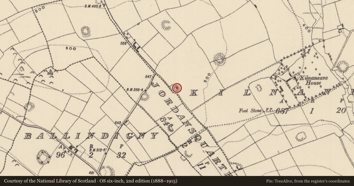 Ordnance Survey six-inch map, 2nd edition (1888–1915) covering the location of Ringfort - rath, Jordansquarter, Kilnaneave, County Tipperary North, with a pin at the register's coordinates