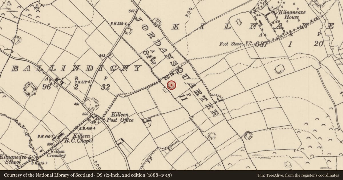 Ordnance Survey six-inch map, 2nd edition (1888–1915) covering the location of Ringfort - rath, Jordansquarter, County Tipperary North, with a pin at the register's coordinates