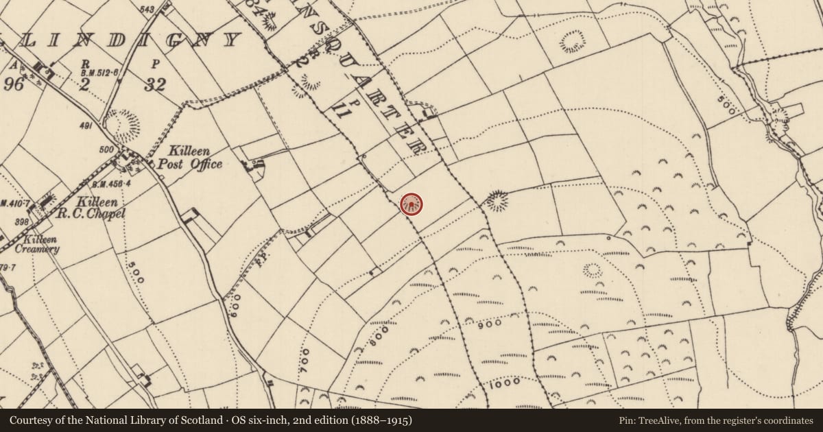 Ordnance Survey six-inch map, 2nd edition (1888–1915) covering the location of Ringfort - rath, Jordansquarter, County Tipperary North, with a pin at the register's coordinates