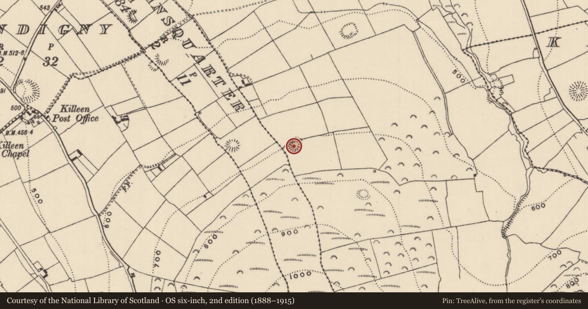 Ordnance Survey six-inch map, 2nd edition (1888–1915) covering the location of Ringfort - rath, Kilnaneave, County Tipperary North, with a pin at the register's coordinates