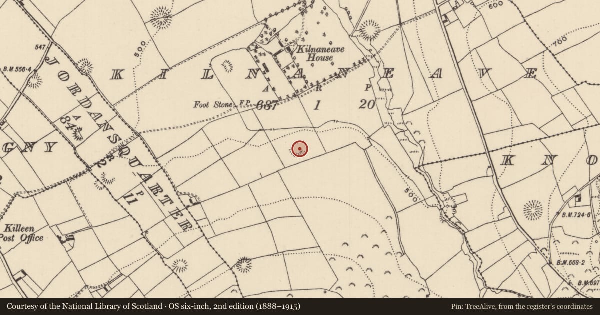 Ordnance Survey six-inch map, 2nd edition (1888–1915) covering the location of Enclosure, Kilnaneave, County Tipperary North, with a pin at the register's coordinates