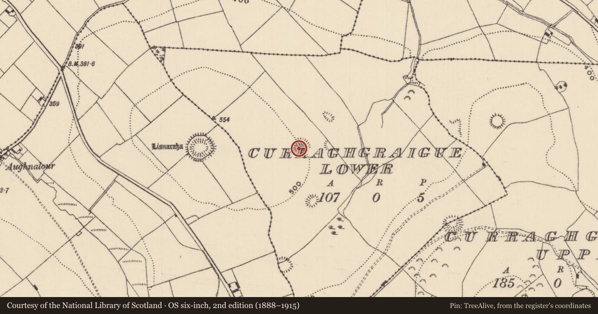 Ordnance Survey six-inch map, 2nd edition (1888–1915) covering the location of Ringfort - rath, Curraghgraigue Lower, County Tipperary North, with a pin at the register's coordinates