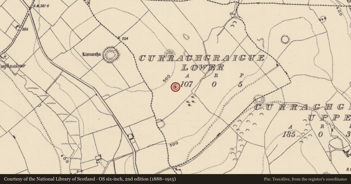 Ordnance Survey six-inch map, 2nd edition (1888–1915) covering the location of Ringfort - rath, Curraghgraigue Lower, County Tipperary North, with a pin at the register's coordinates