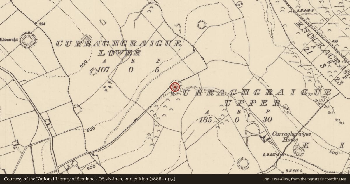 Ordnance Survey six-inch map, 2nd edition (1888–1915) covering the location of Ringfort - rath, Curraghgraigue Lower, Curraghgraigue Upper, County Tipperary North, with a pin at the register's coordinates