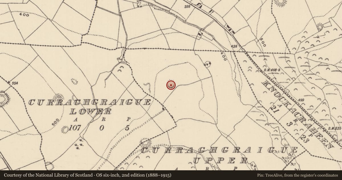 Ordnance Survey six-inch map, 2nd edition (1888–1915) covering the location of Ringfort - rath, Curraghgraigue Upper, County Tipperary North, with a pin at the register's coordinates