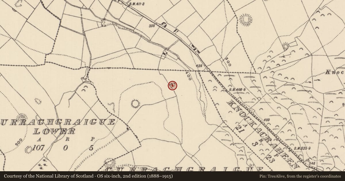 Ordnance Survey six-inch map, 2nd edition (1888–1915) covering the location of Ringfort - rath, Curraghgraigue Upper, County Tipperary North, with a pin at the register's coordinates