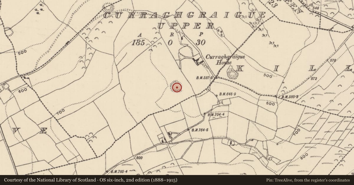 Ordnance Survey six-inch map, 2nd edition (1888–1915) covering the location of Ringfort - rath, Curraghgraigue Upper, County Tipperary North, with a pin at the register's coordinates