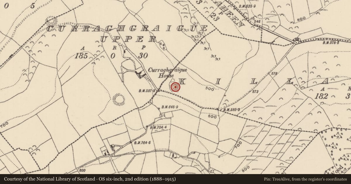 Ordnance Survey six-inch map, 2nd edition (1888–1915) covering the location of Ringfort - rath, Killavalla (Kilnaneave Par.), County Tipperary North, with a pin at the register's coordinates