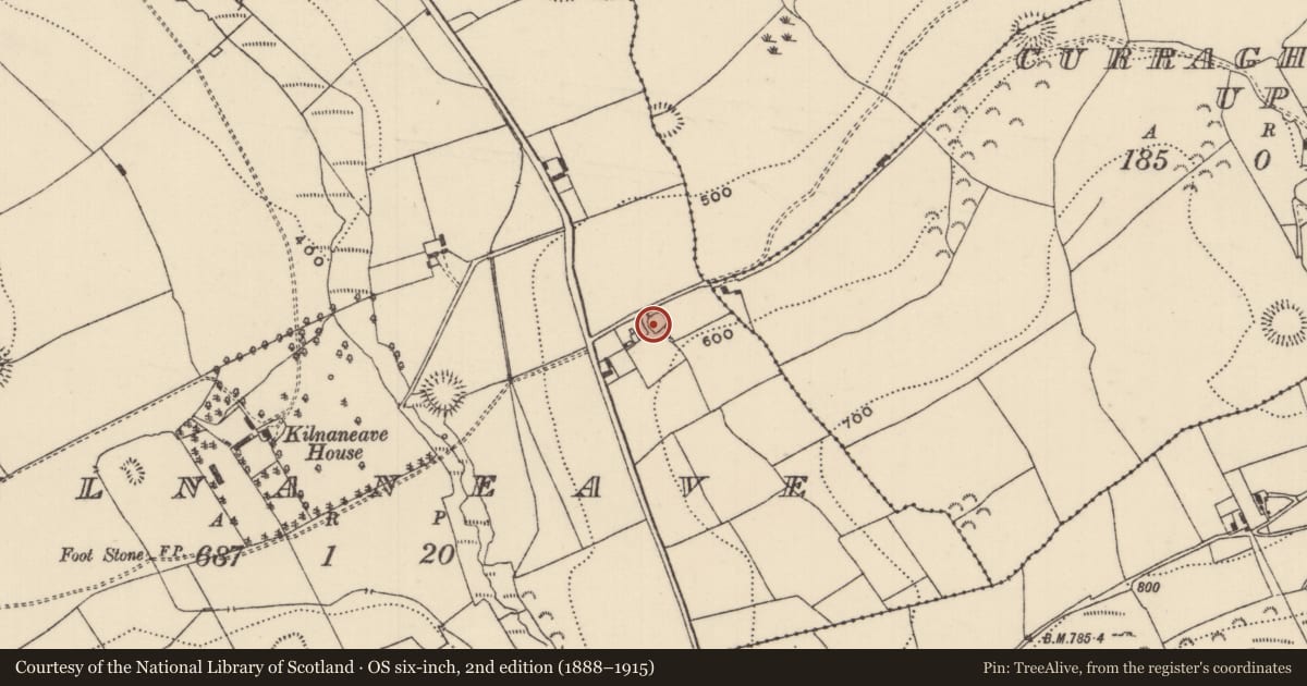 Ordnance Survey six-inch map, 2nd edition (1888–1915) covering the location of Ringfort - rath, Kilnaneave, County Tipperary North, with a pin at the register's coordinates