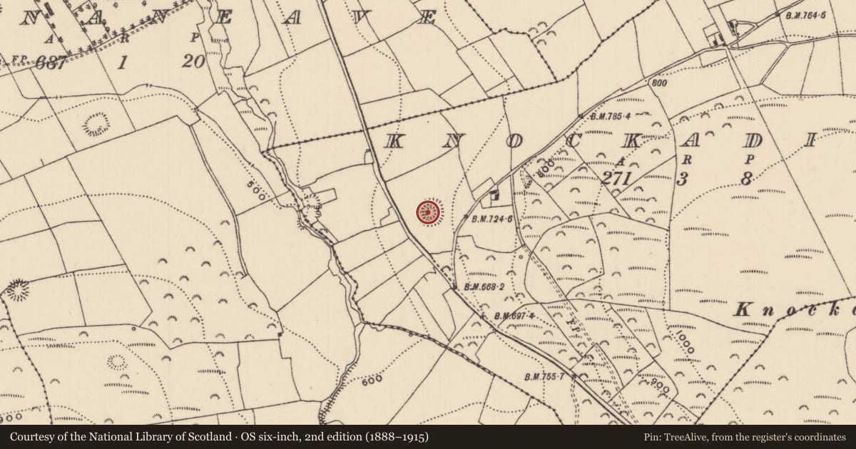 Ordnance Survey six-inch map, 2nd edition (1888–1915) covering the location of Ringfort - rath, Knockadigeen, County Tipperary North, with a pin at the register's coordinates