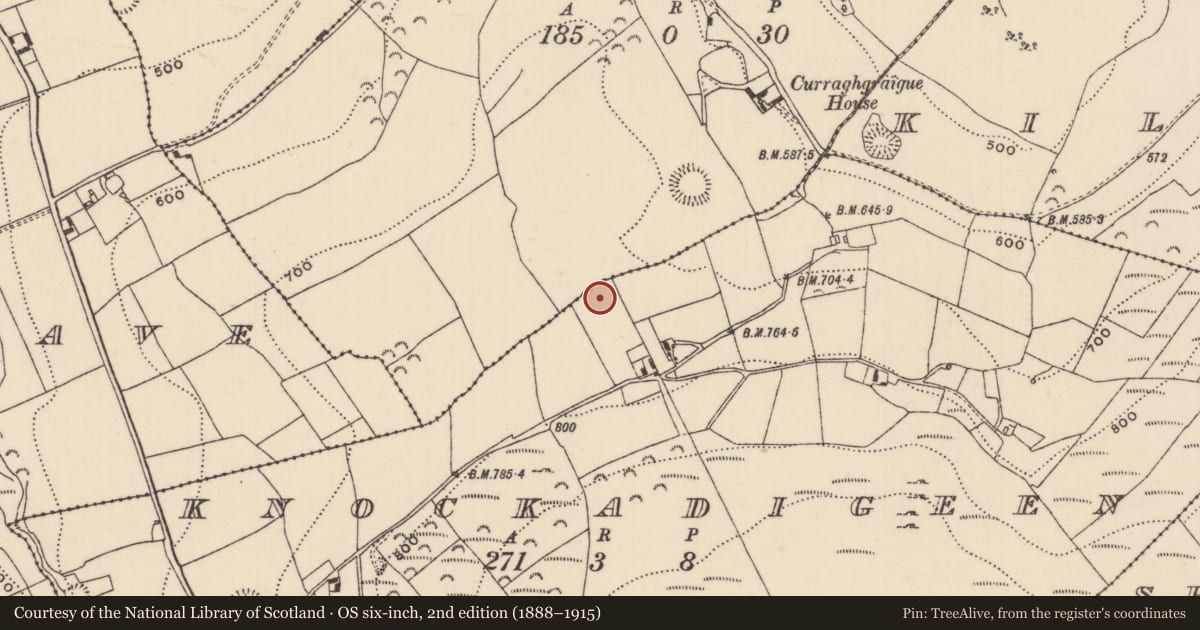 Ordnance Survey six-inch map, 2nd edition (1888–1915) covering the location of Ringfort - rath, Knockadigeen, County Tipperary North, with a pin at the register's coordinates