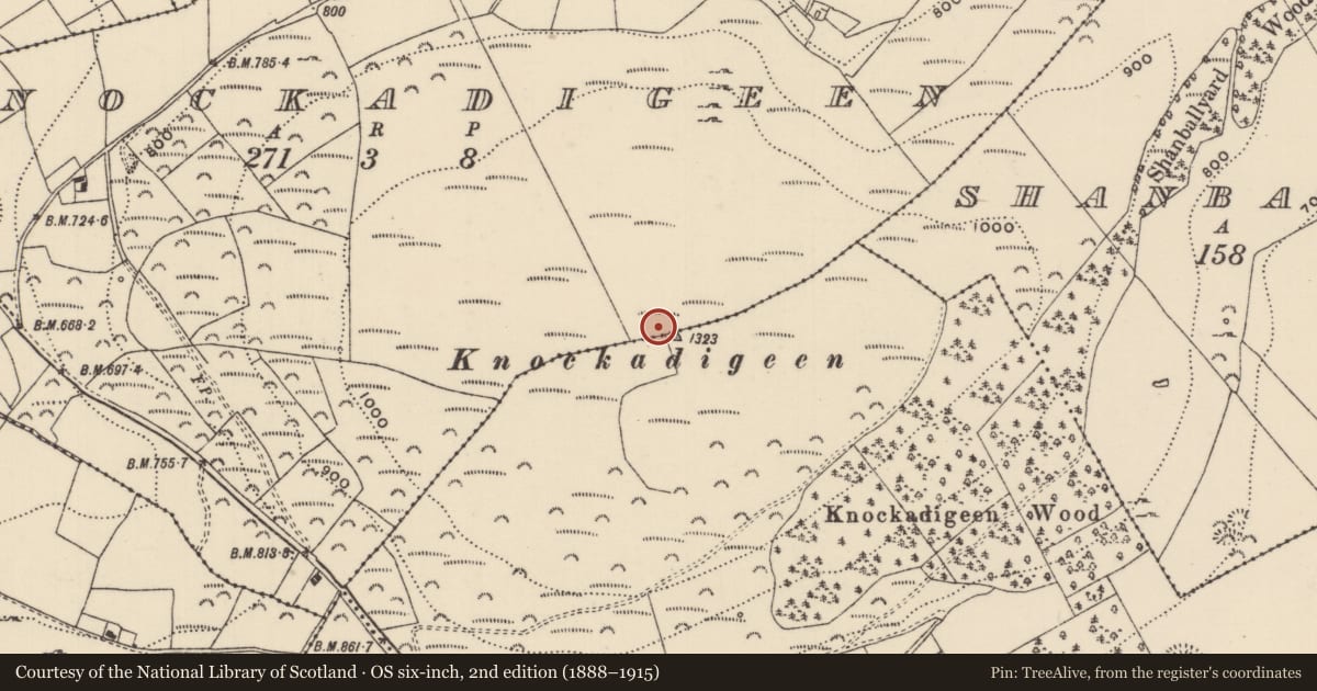 Ordnance Survey six-inch map, 2nd edition (1888–1915) covering the location of Hillfort, Cloghonan, Knockadigeen, County Tipperary North, with a pin at the register's coordinates