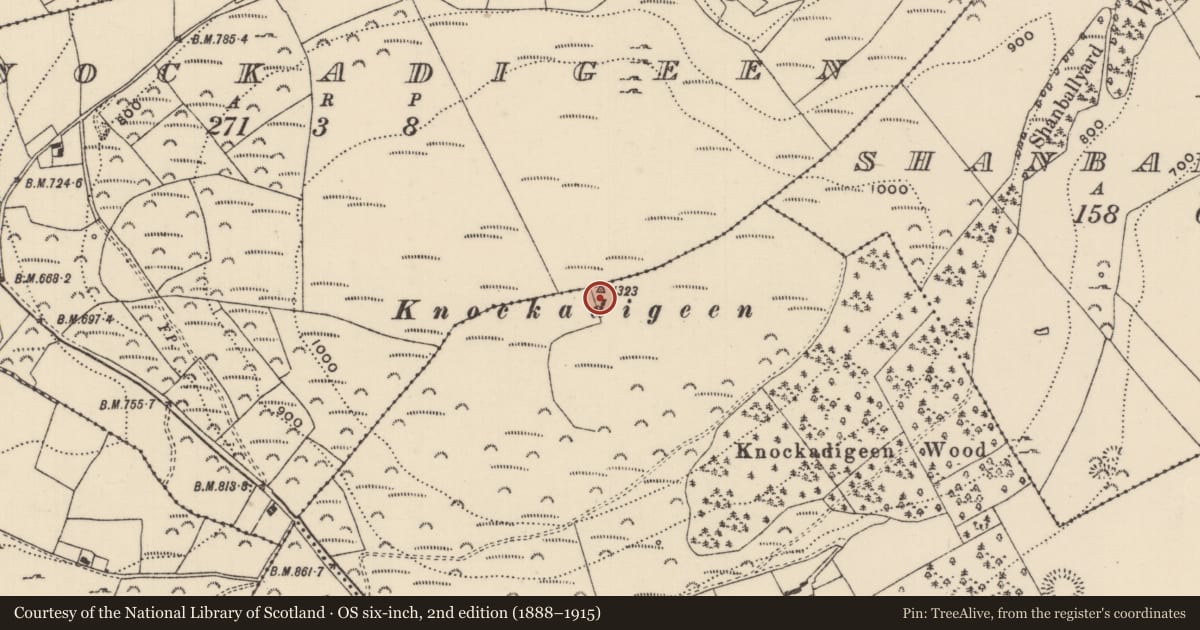 Ordnance Survey six-inch map, 2nd edition (1888–1915) covering the location of Enclosure, Cloghonan, County Tipperary North, with a pin at the register's coordinates