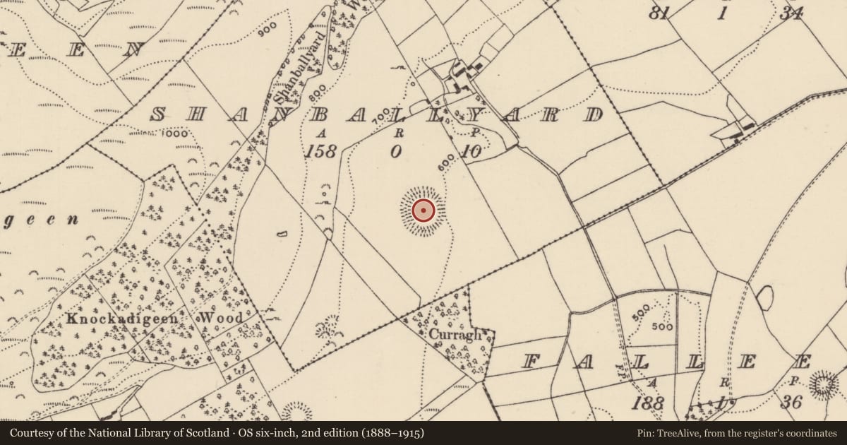 Ordnance Survey six-inch map, 2nd edition (1888–1915) covering the location of Enclosure, Shanballyard (Aghnameadle Par.), County Tipperary North, with a pin at the register's coordinates