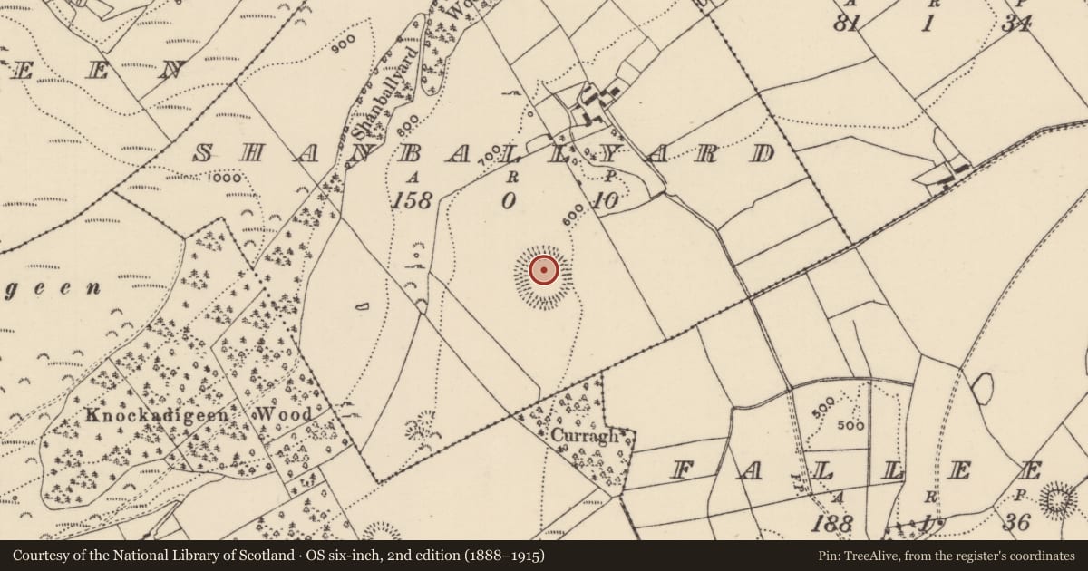 Ordnance Survey six-inch map, 2nd edition (1888–1915) covering the location of Hut site, Shanballyard (Aghnameadle Par.), County Tipperary North, with a pin at the register's coordinates