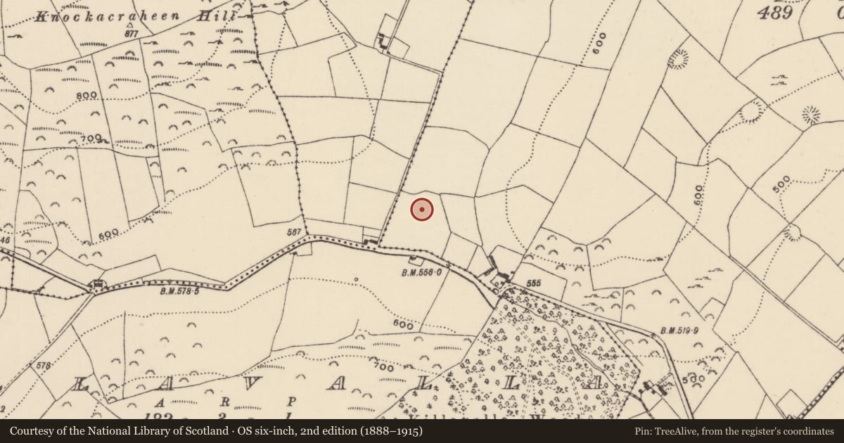 Ordnance Survey six-inch map, 2nd edition (1888–1915) covering the location of Standing stone, Lackenavorna, County Tipperary North, with a pin at the register's coordinates