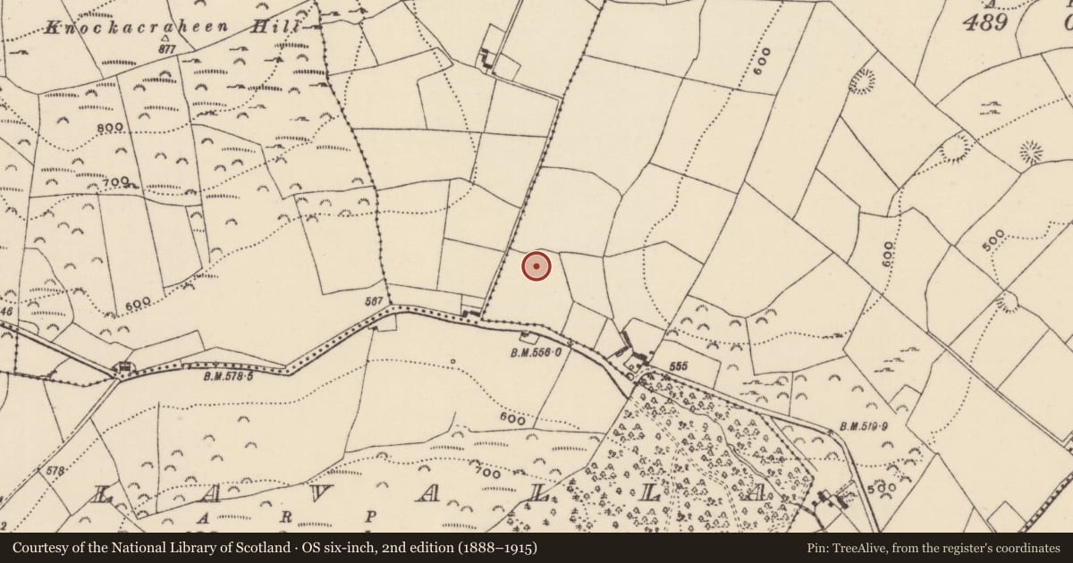 Ordnance Survey six-inch map, 2nd edition (1888–1915) covering the location of Graveyard, Lackenavorna, County Tipperary North, with a pin at the register's coordinates