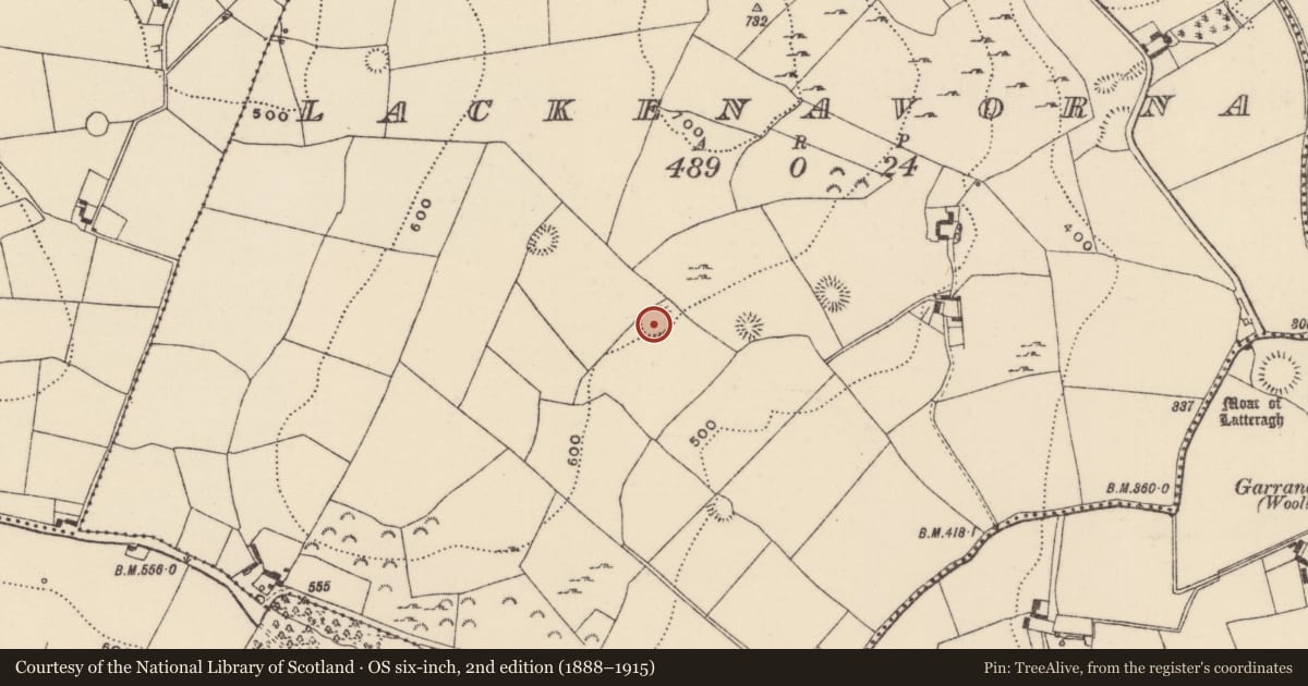Ordnance Survey six-inch map, 2nd edition (1888–1915) covering the location of Ringfort - rath, Lackenavorna, County Tipperary North, with a pin at the register's coordinates